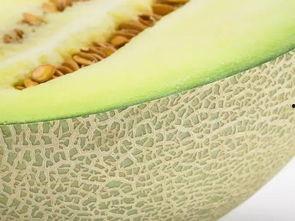 吃瓜吃到瓜瓤,揭秘吃瓜吃到瓜瓤的幕后真相