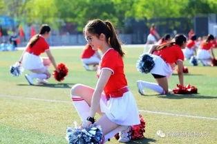 校园吃情侣瓜,揭秘校园情侣瓜的甜蜜秘密