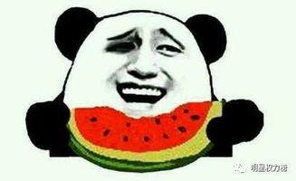 吃瓜回击,揭秘网络舆论背后的真相与反击策略