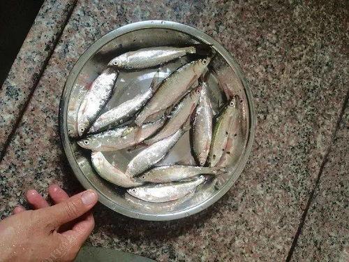 白条瓜怎么吃才好吃,解锁最佳食用技巧