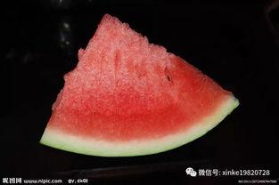 吃瓜群众偷瓜吃瓜事件,吃瓜群众与瓜农的甜蜜纠纷