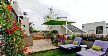 顶楼的吃瓜青年,揭秘都市生活背后的八卦风云