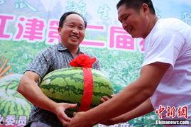 吃瓜4分钟,轻松掌握娱乐圈热点动态