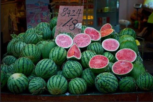 吃瓜报瓜,吃瓜报瓜，带你领略明星幕后故事