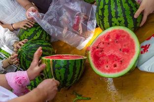 员工吃瓜的视频,揭秘职场休闲时光