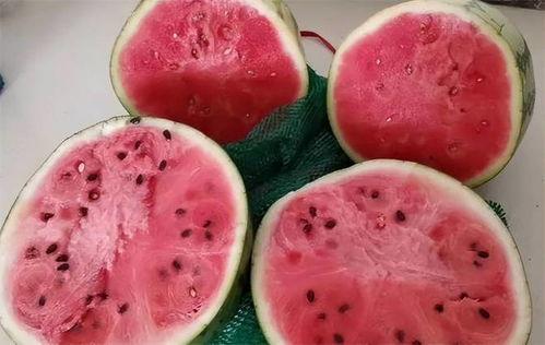 喜欢吃苹果瓜麒麟瓜好吗,探寻美味瓜果的完美搭配