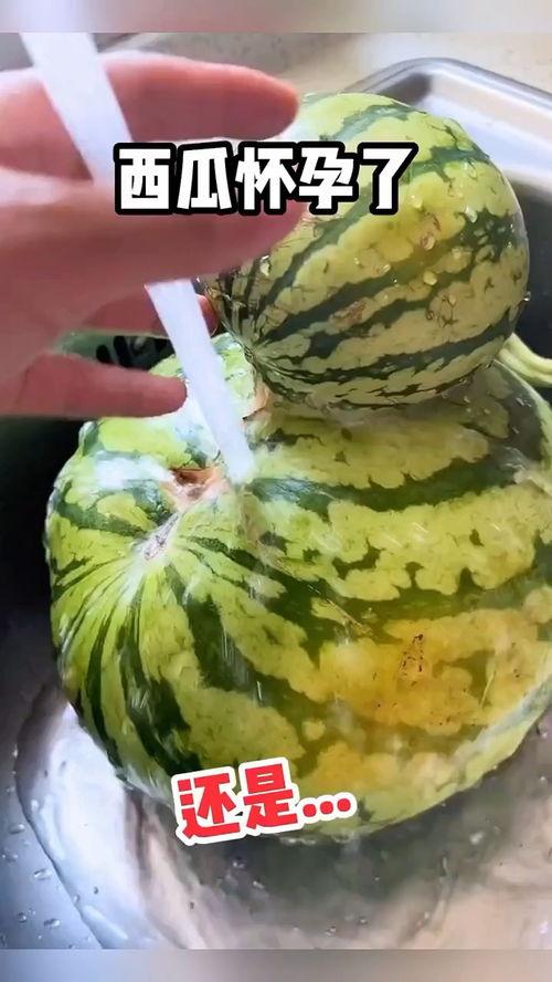 吃瓜配文搞笑,笑料横飞话不停